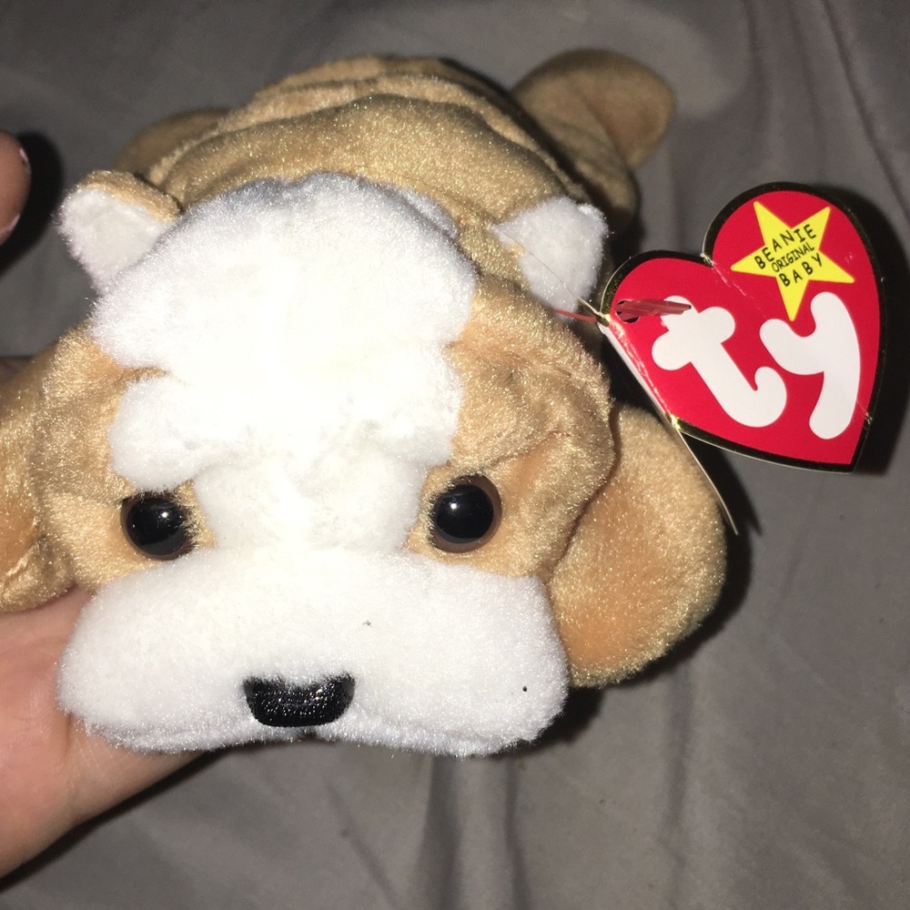 RARE Wrinkles Beanie Baby